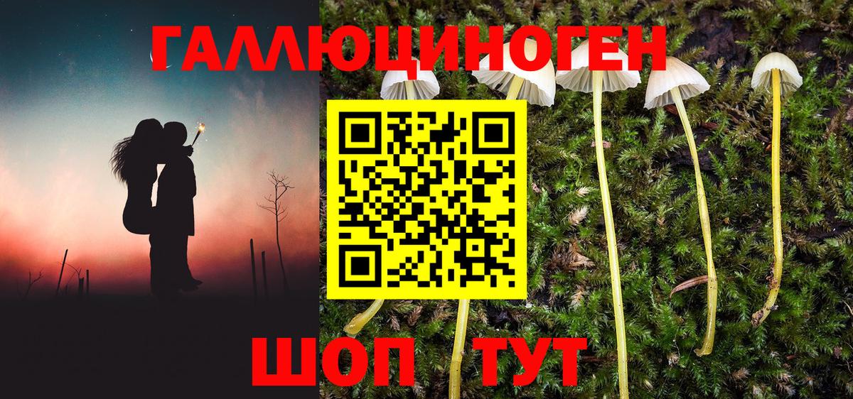 Галлюциногенные грибы Magic Shrooms Стрежевой